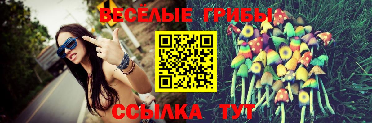 Псилоцибиновые грибы Psilocybine cubensis Ноябрьск
